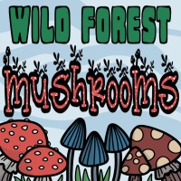 Wild Forest Mushrooms Coloring Page Designs