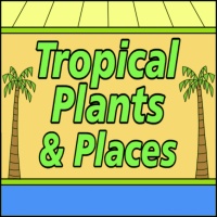 Tropical Plants Coloring Page Designs