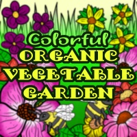 Colorful Organic Vegetable Garden Planner Designs