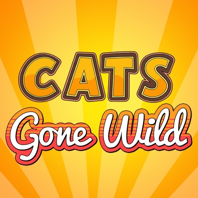 Cats Gone Wild Coloring Page Designs