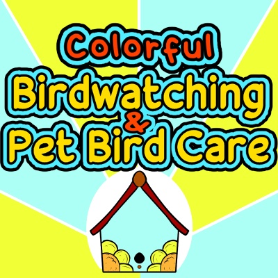 Colorful Birdwatching & Pet Bird Care Planner