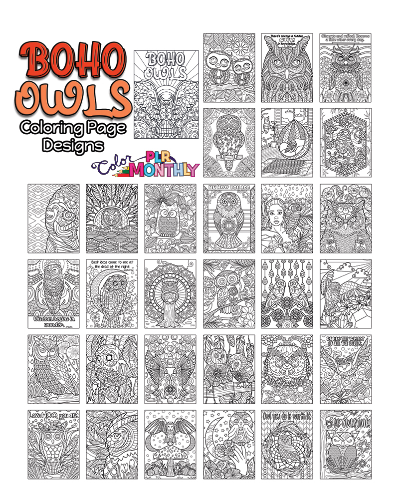 a complete image showing smaller images of all the coloring pages in a package about boho owls
