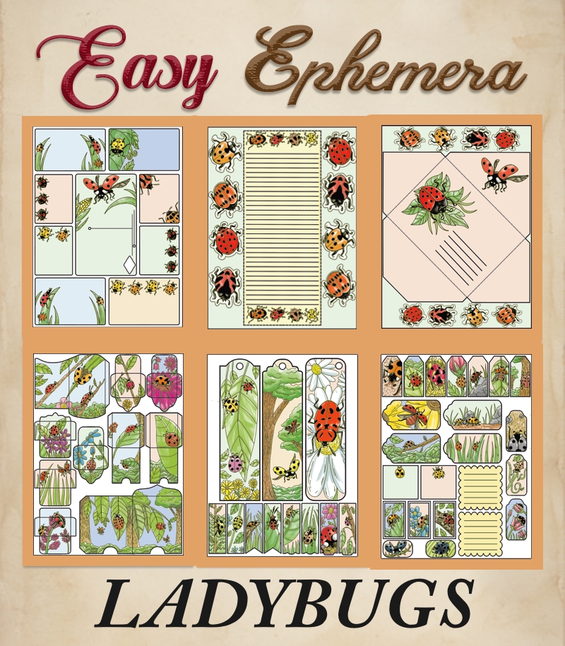 a complete image showing smaller images of all the full color pages in a package with the title of the product "Easy Ephemera - Ladybugs"